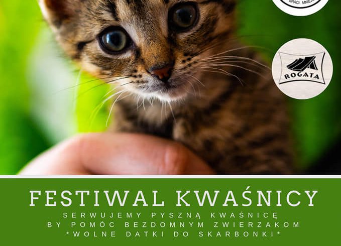 Festiwal Kwaśnicy 2019