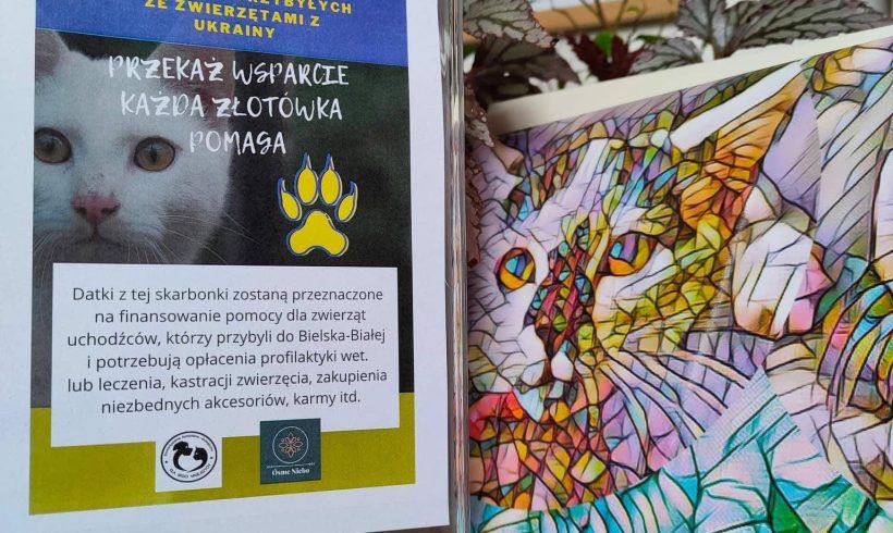 pomoc dla zwierząt z Ukrainy